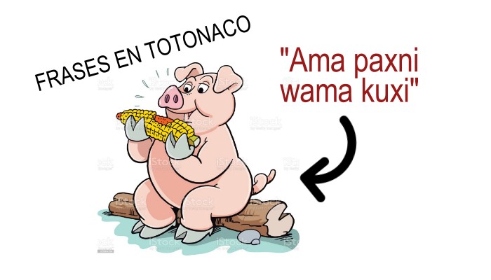 Frases en españo-totonaco